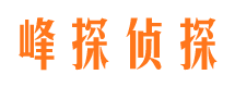 磐安市场调查